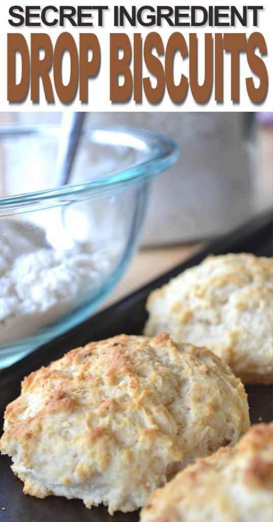Homestead Blog Hop Feature - Secret Ingredient Drop Biscuits