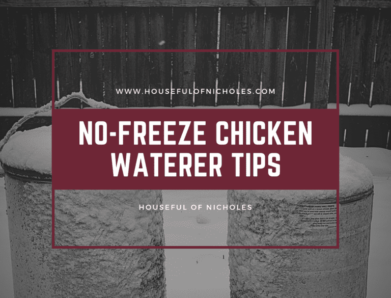 How to Keep Your Chicken Water from Freezing