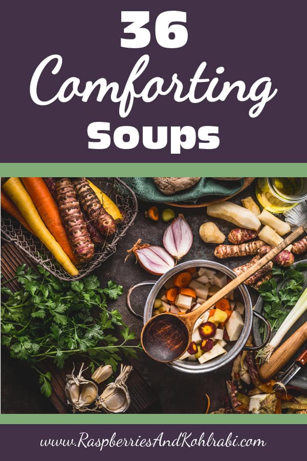 Homestead Blog Hop Feature - 36 Comforting Soups by Raspberries and Kohlrabi