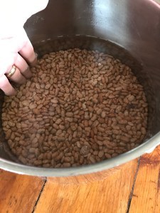 Homestead Blog Hop Feature - Living the Dream