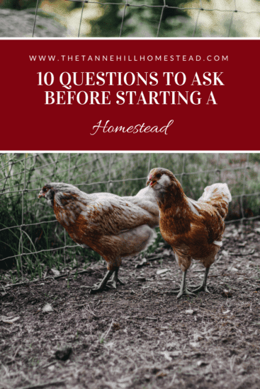 Homestead Blog Hop Feature - 10-Questions-to-Ask-Before-Starting-a-Homestead