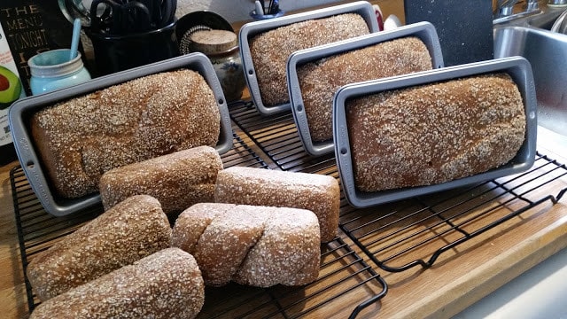 Homestead Blog Hop Feature - Our Sunday cafe