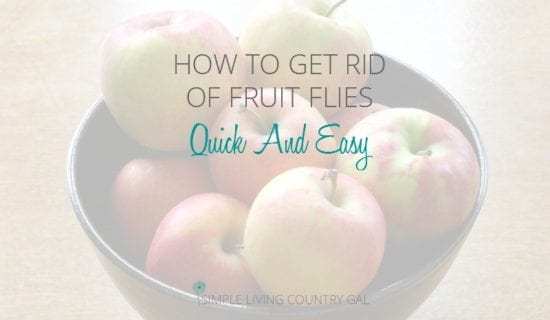 Homestead Blog Hop Feature - How to get-rid-of-fruit-flies