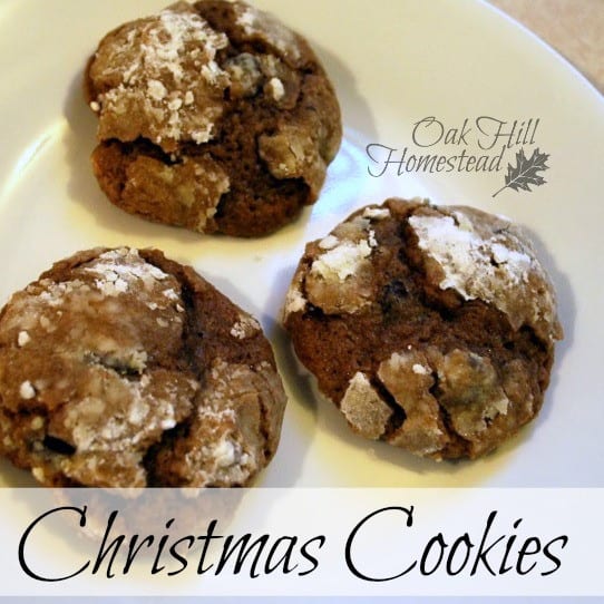 Homestead Blog Hop Feature - Oak Hill Homestead