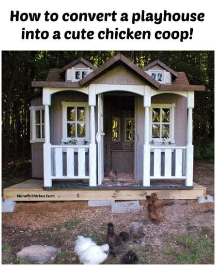 Homestead Blog Hop Feature Murano Chicken Farm