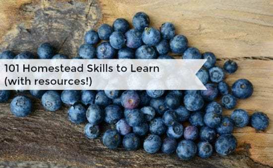 Homestead Blog Hop -101-homesteading-skills