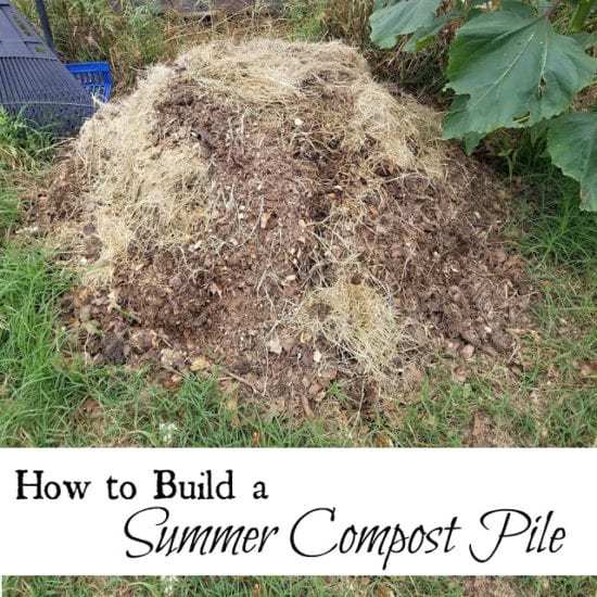 Homestead Blog Hop Feature - Oak Hill Homestead