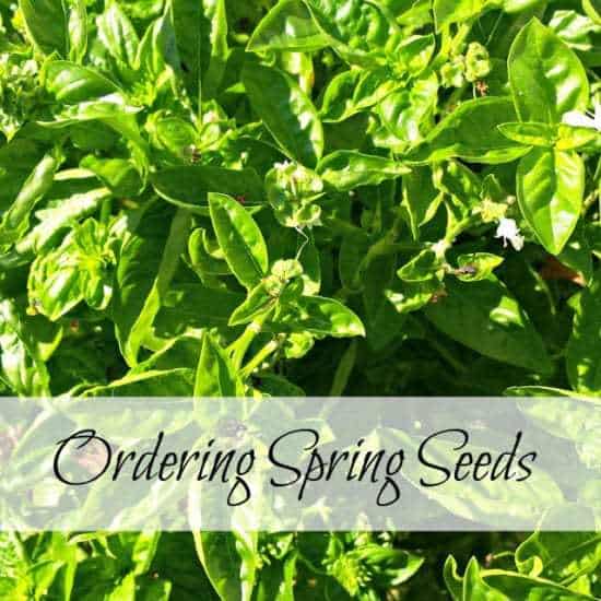 Homestead Blog Hop Feature - Oak Hill Homestead