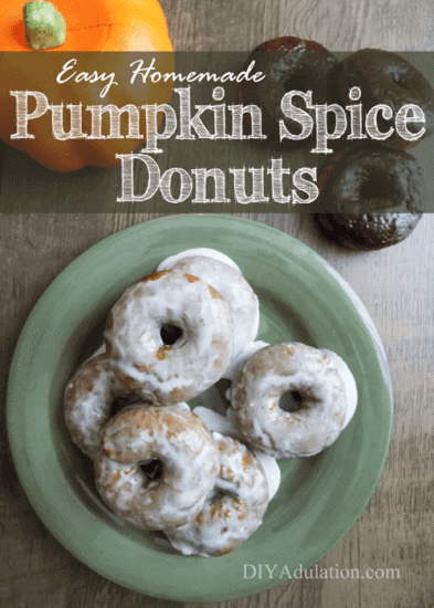 Homestead Bog Hop Feature - Easy-Homemade-Pumpkin-Spice Donut Recipe