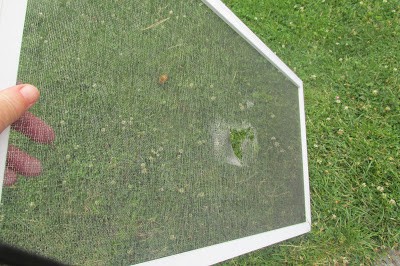 Homestead Blog Hop Feature DIY How to Repair a Window Screen