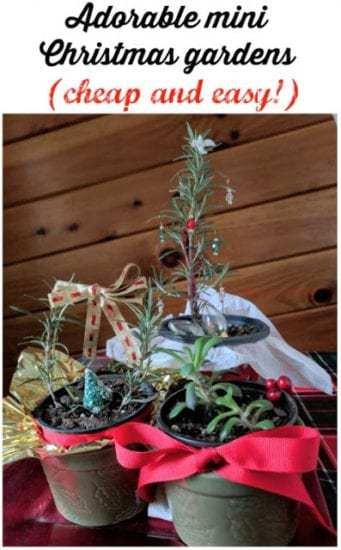 Homestead Blog Hop Feature - Feathers in the Woods