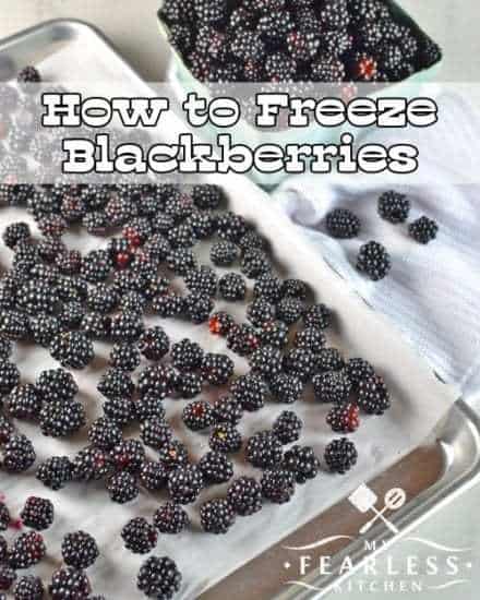 Homestead Blog Hop Feature from My Fearless Kitchen