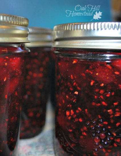 Homestead Blog Hop Feature - Triple Berry Jam