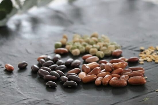 Homestead Blog Hop Feature - Organizing-Storing-Leftover-Garden-Seeds