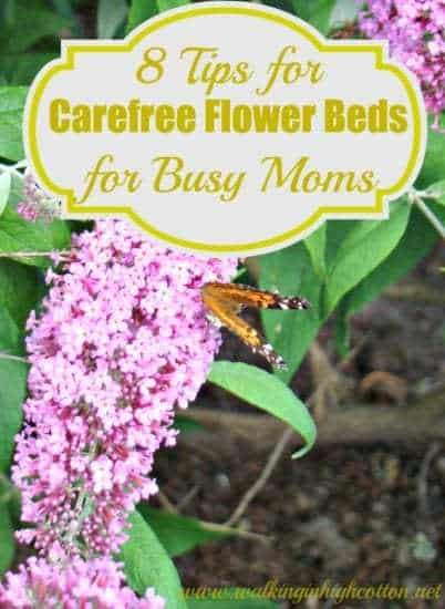 Homestead Blog Hop Feature - Walking in High Cotton