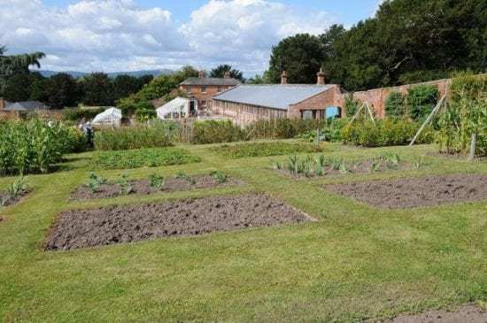Homestead Blog Hop Feature - Organic4 Green Livings