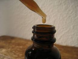 Homestead Blog Hop Feature - Organic 4 Green Livings