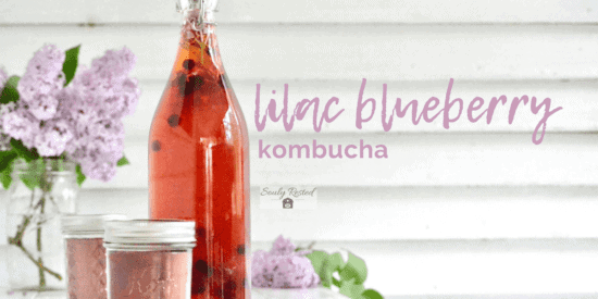 Homestead Blog Hop Feature - Lilac Blueberry Kombucha
