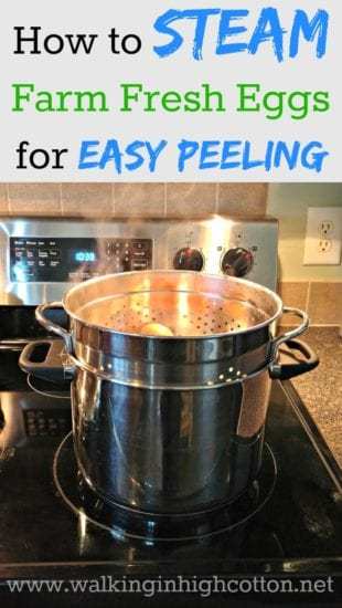 Homestead Blog Hop Feature how-to-steam-eggs-for-easy-peeling