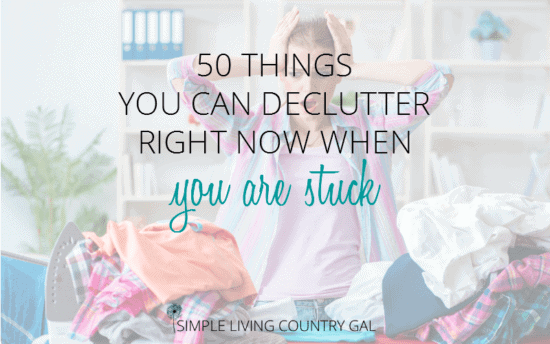 Homestead Blog Hop Feature - Simple Living Country Gal