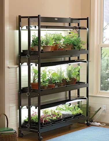 Homestead Blog Hop Feature DIY Green House