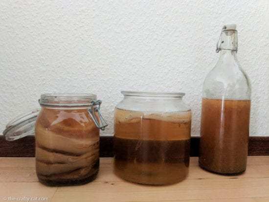 Homestead Blog Hop Feature - Start Making Kombucha