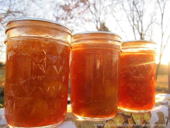 Hoemstead Blog Hop Feature - How to Make Peach Jam from Fresh or Frozen Fruit