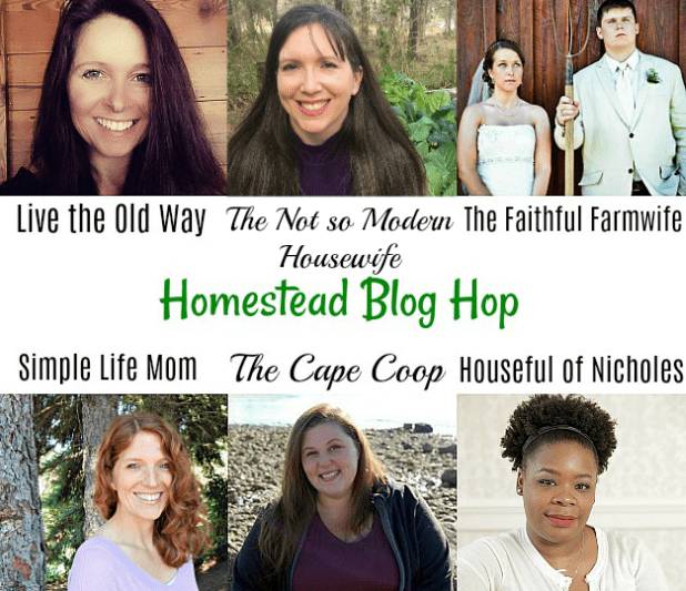 Homestead Blog Hop Hosts January 2018