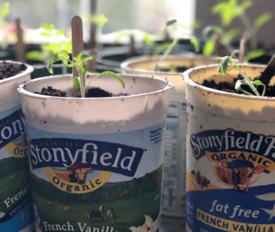 Homestead log Hop Feature - Alternatives-For-DIY-Seedling-Planting-Pots-On-The-Cheap