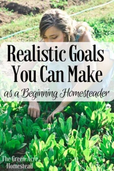 Homestead Blog Hop Feature - realistic-goals-on-the-homestead
