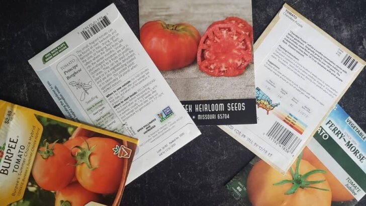 How to Read a Seed Packet Like an Old Pro