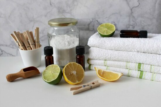 Homestead Blog Hop Feature - Green Cleaning