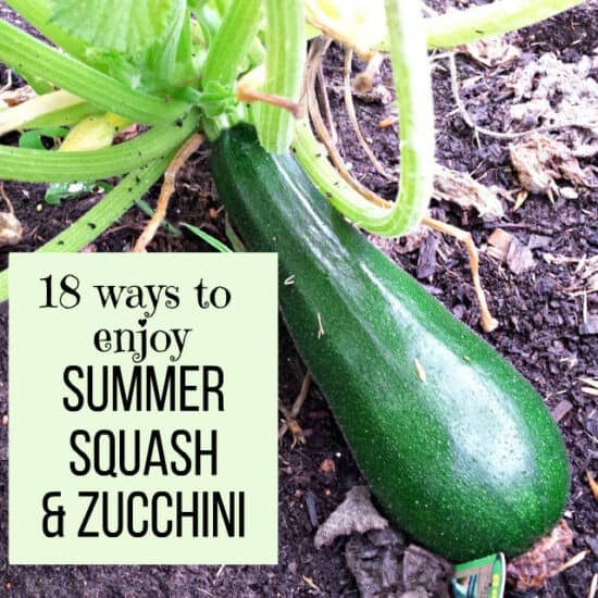 Homestead Blog Hop Feature - 18 Ways to Enjoy Summer Squash and Zucchini