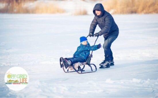 Homestead Blog Hop Feature - Outdoor Christmas Activities