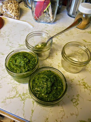 Homestead Blog Hop Feature - Carrot Pesto Recipe