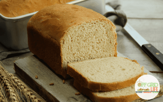 Homestead Blog Hop Feature - Homemade Sandwich Bread Recipe