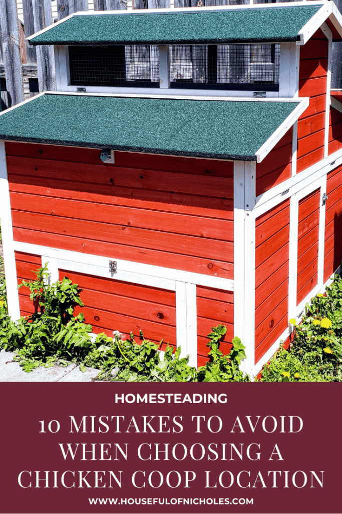 10 Mistakes to Avoid When Choosing A Chicken Coop Location