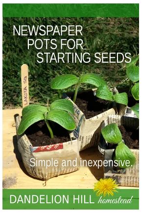 Homestead Blog Hop Feature - Newspaper pots and Starting Seeds 2