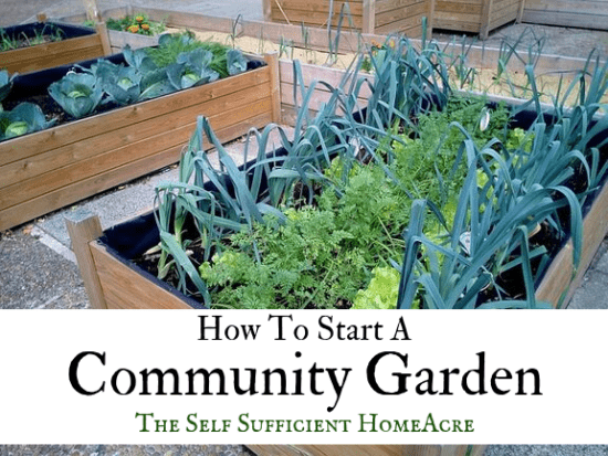 Homestead Blog Hop Feature - How to start a community garden