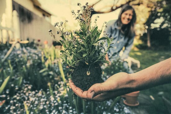 Homestead Blog Hop Feature - All Natural Definitive Guide to a Sustainable Lifestyle