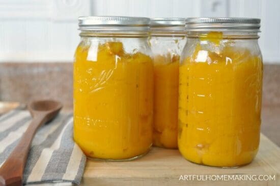 Homestead Blog Hop Feature - how-to-make-pumpkin-puree