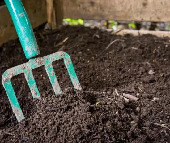 Homestead Blog Hop Feature - Composting Basics -Make Use of Waste and Improve Soil