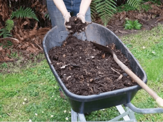 Homestead Blog Hop Feature - What you Need to Know about pH and Organic Soil