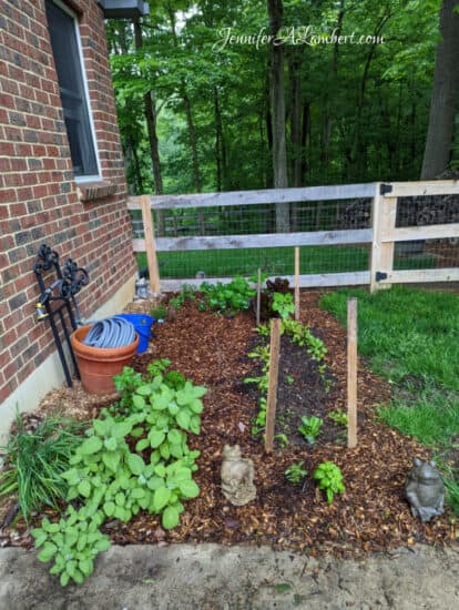 Homestead Blog Hop Feature - How Does my Garden Grow