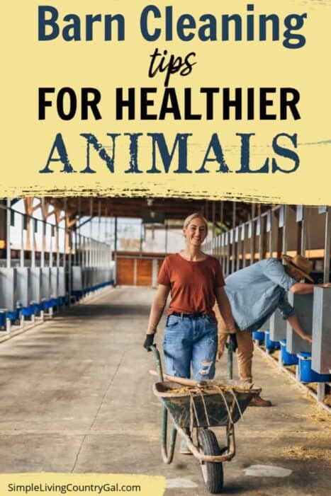 Homestead Blog Hop Feature - Barn Cleaning Tips