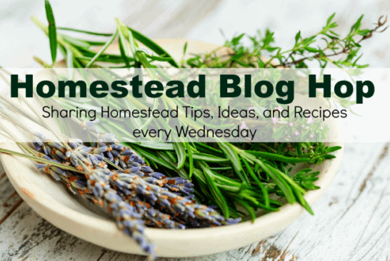Homestead Blog Hop 472 | Carrots, Cinnamon Rolls & Gratitude