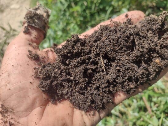 Homestead Blog Hop Feature - Potting Soil vs Garden Soil