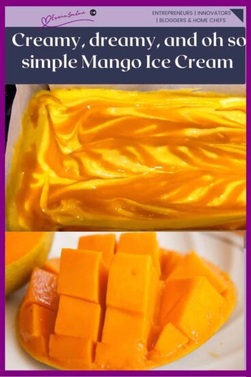 Homestead Blog Hop Feature - Mango No Church Ice Cream