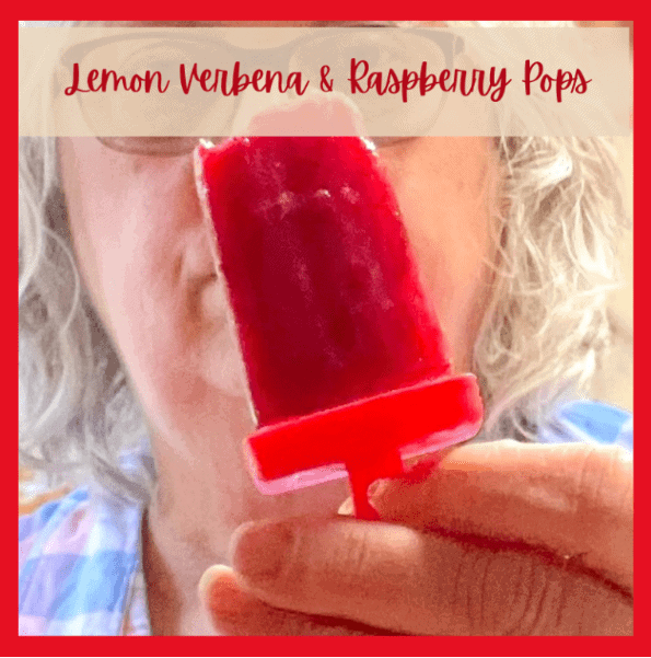 Homestead Blog Hop Feature - Lemon Verbena Tea Raspberry Ice Pops