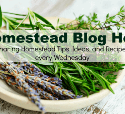 Homestead Blog Hop